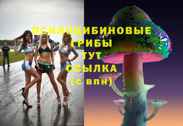 первитин Кинешма