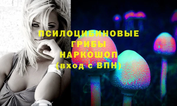 первитин Кинешма