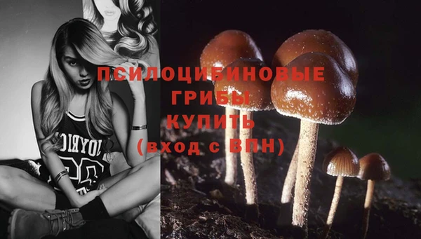 бошки Киренск