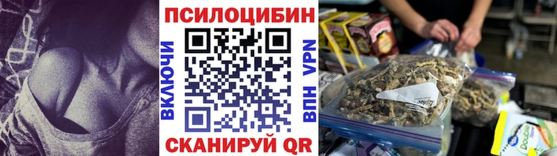 Галлюциногенные грибы Cubensis  Купить закладки  Бугульма 