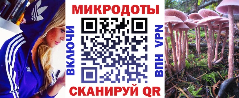 Галлюциногенные грибы GOLDEN TEACHER Бугульма